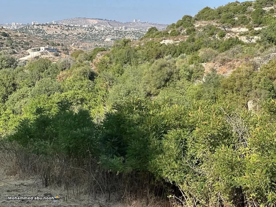 رام الله | موسوعة القرى الفلسطينية